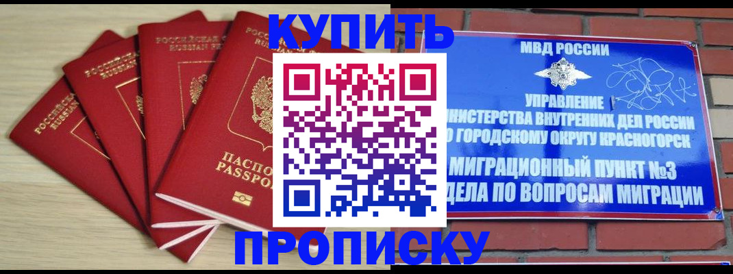 пропишу в квартире в Чистополье